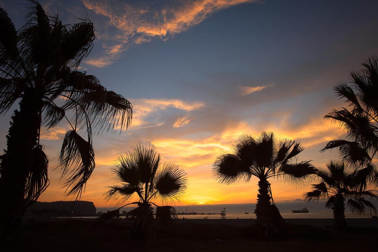 Novotel Arica Dış mekan fotoğraf